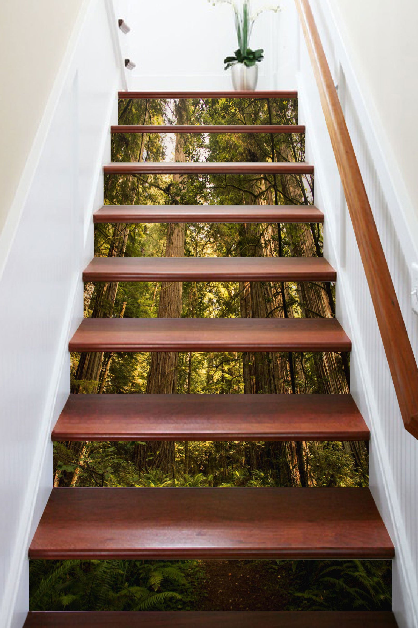3D Dark Stout Woods 247 Stair Risers